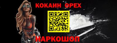 гидра Будённовск