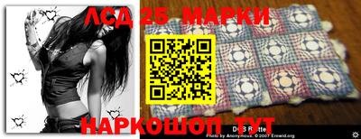 гидра Будённовск