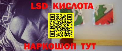 гидра Будённовск