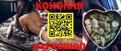 гидра Будённовск